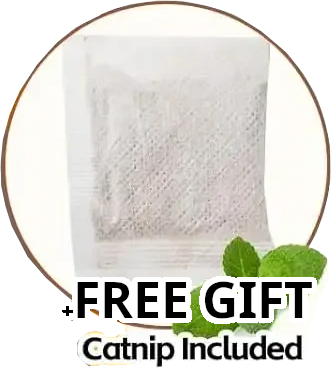 Catnip